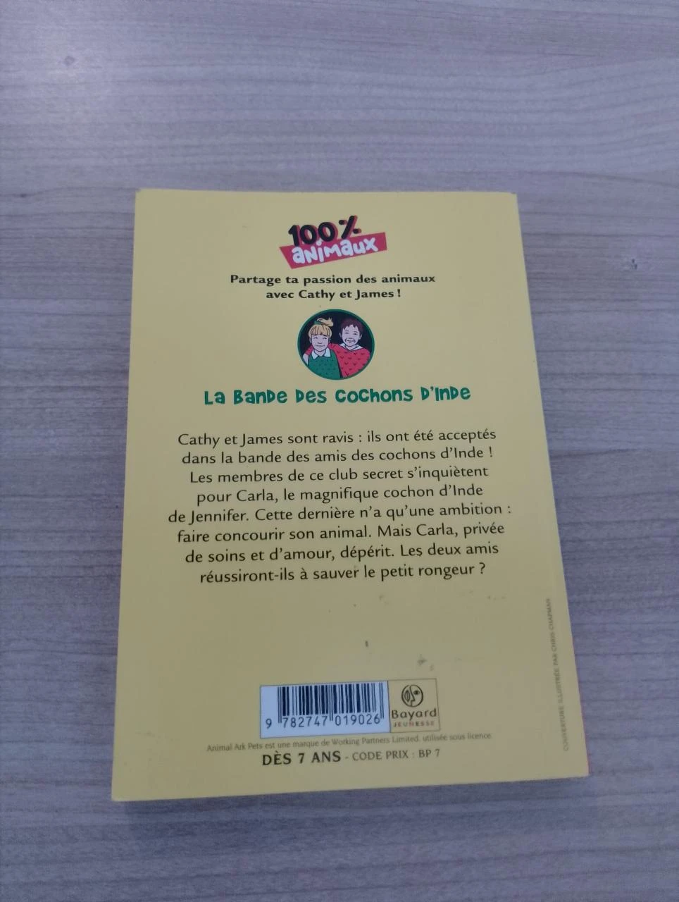 100% Animaux : La bande des cochons d'Inde – photo 2